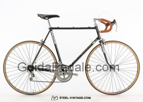 Raleigh Pursuit scheda tecnica e recensioni